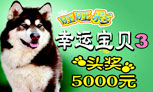 幸运宝贝3